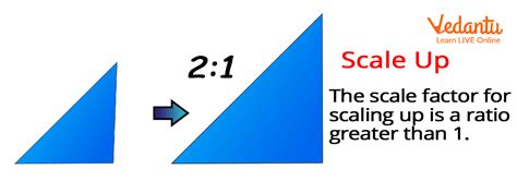 what does it mean to scale an image