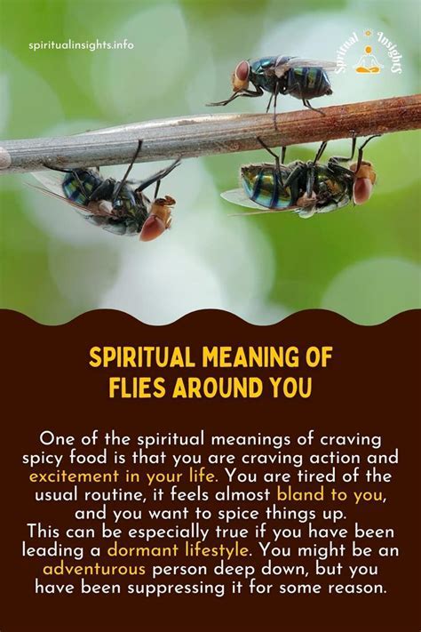 what does it mean when a fly keeps flying around you