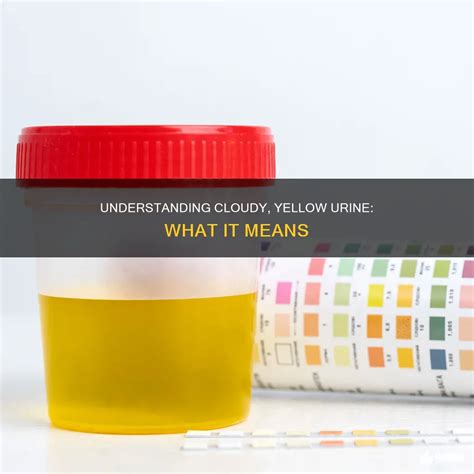 what does it mean when my pee is yellow and cloudy