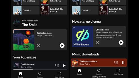 what does it mean when spotify is offline
