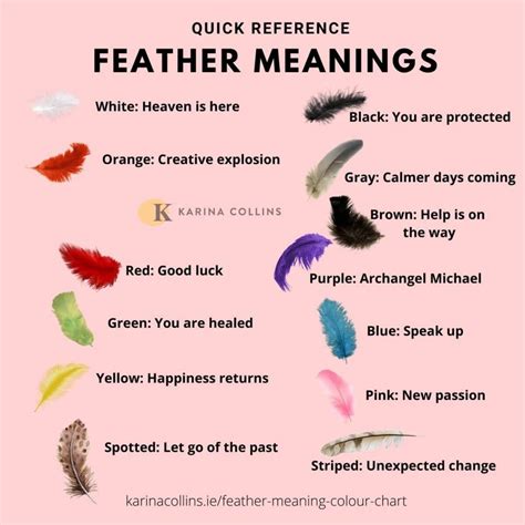 what does it mean when you find a brown feather in your house