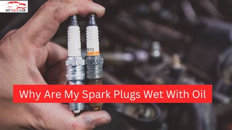 what does it mean when you have oil in your spark plugs
