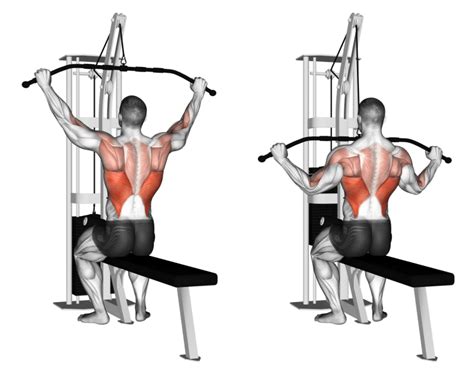 what does lat pulldown target