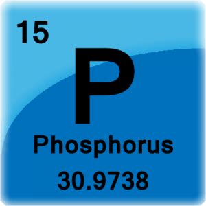 what does phosphorus mean in science