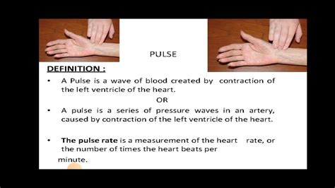 what does pulse mean in physics