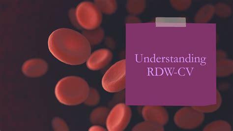 what does rdw cv in blood work mean
