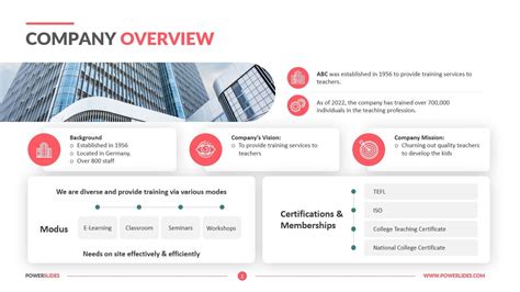what does the business overview explain