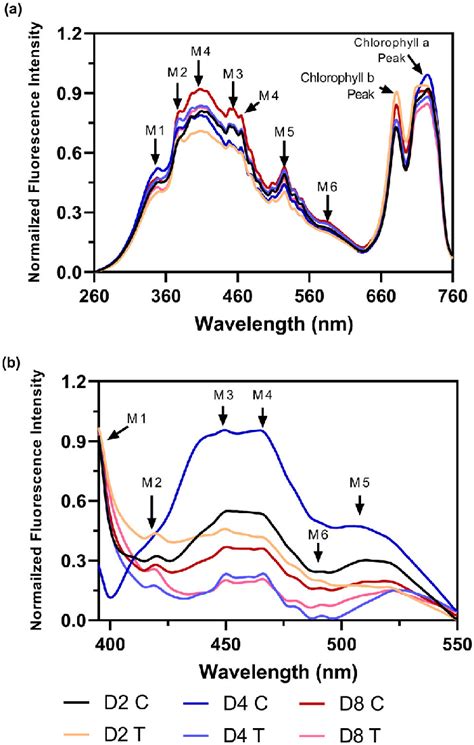 what does this observation indicate about the source of the fluorescence