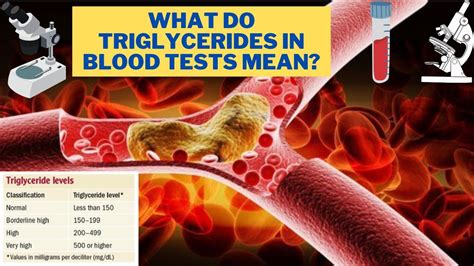 what does triglycerides mean in a blood test