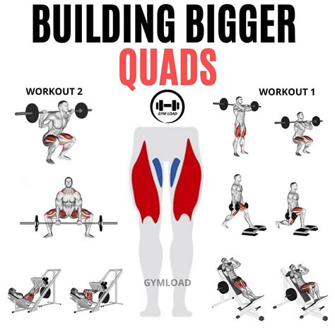 what exercise is best for quadriceps