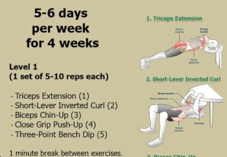 what exercises increase arm size
