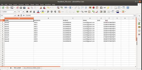 what format is an excel file