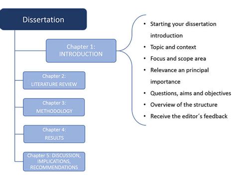 what goes in a dissertation introduction