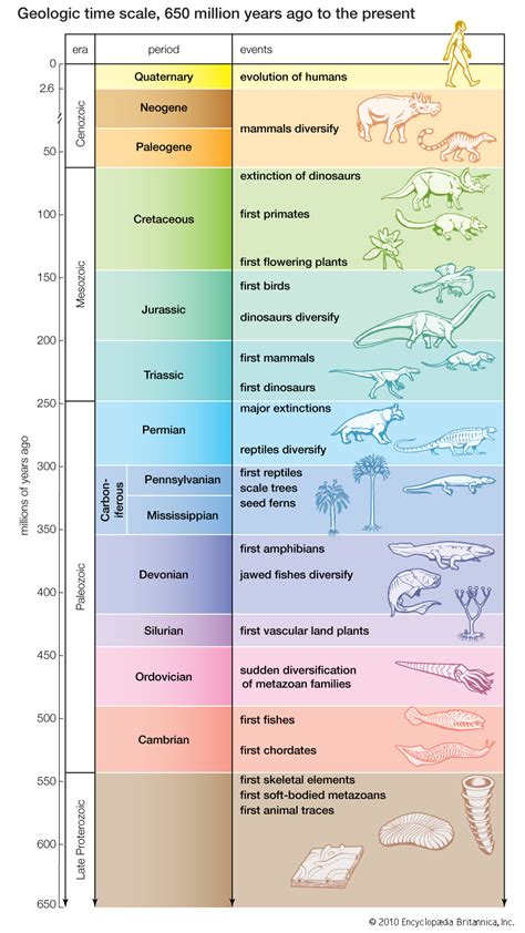 what happened 650 million years ago