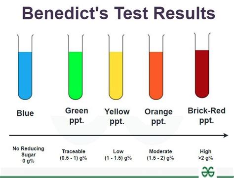what happens in a benedict's test