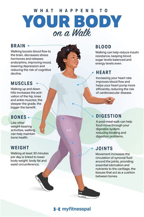 what happens to your body when you move to a higher elevation