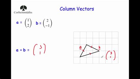 what is a column vector maths