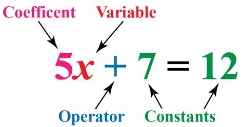 what is a constant in a mathematical expression