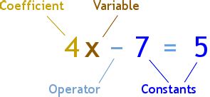 what is a constant in algebra