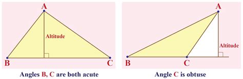 what is a counter example in math