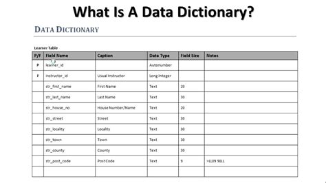 what is a data dictionary