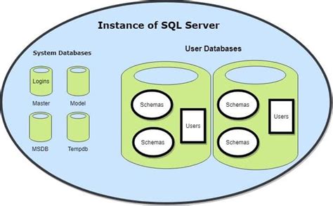 what is a data instance