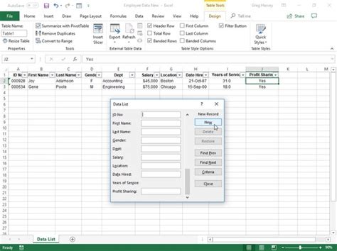 what is a data record in excel