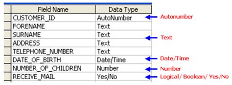 what is a data type in a database give examples
