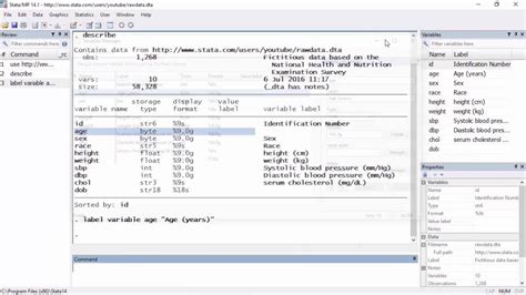 what is a double variable in stata