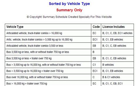 what is a driving code