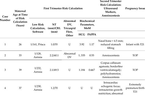 what is a false positive in risk assessment