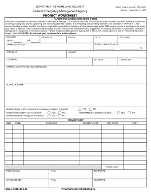 what is a fema project worksheet