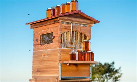 what is a flow hive and how is it used