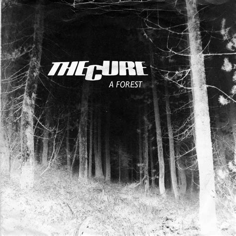 what is a forest by the cure about