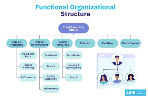 what is a functional structure of an organization choose the answer
