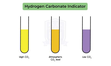 what is a hydrogen carbonate indicator