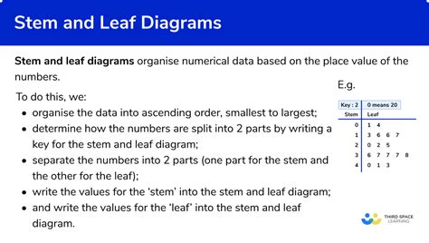 what is a leaf diagram in maths