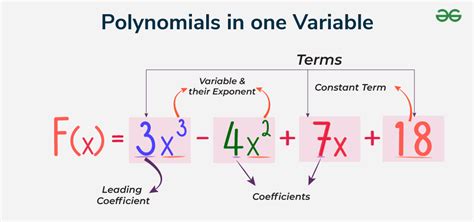 what is a one variable polynomial