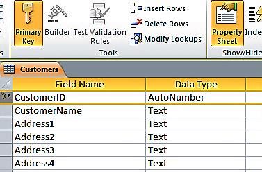 what is a primary key in access