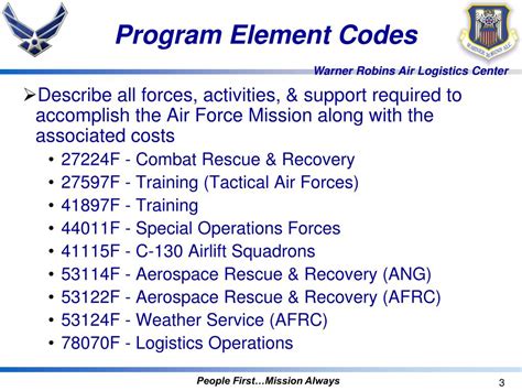 what is a program element