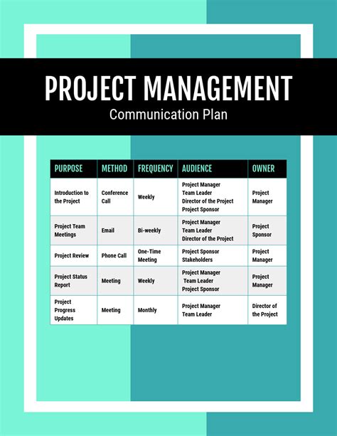 what is a project management plan example