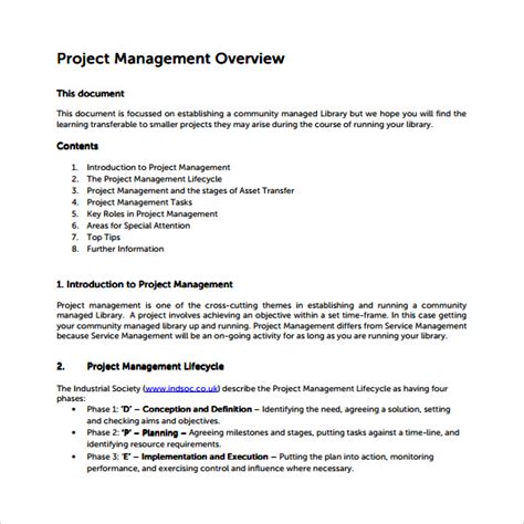 what is a project overview in project management