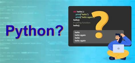 what is a python in computer programming