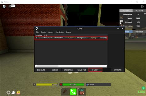 what is a script application roblox