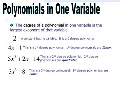 what is a single variable polynomial