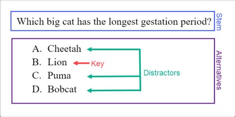 what is a stem in a test question