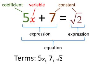 what is a term in algebra 2