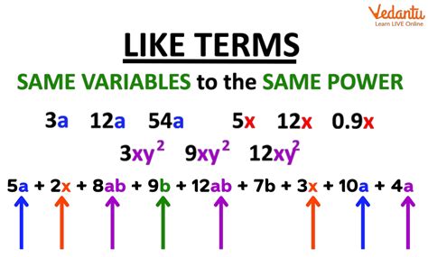 what is a term in math example grade 7