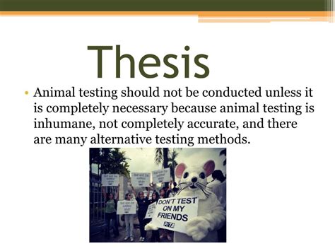 what is a thesis statement for animal testing
