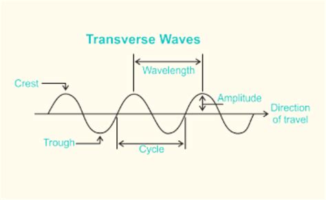 what is a transverse wave in physics gcse